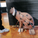 Belehúztak a Koppányok