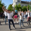 A Zöld nap évről-évre a legnagyobb buli