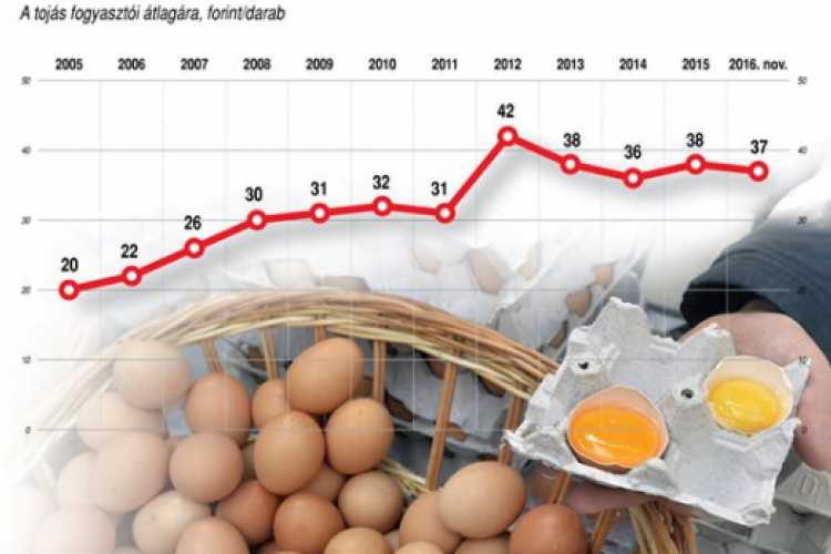 Hiába az adócsökkentés, mégis drágulás vár ránk?