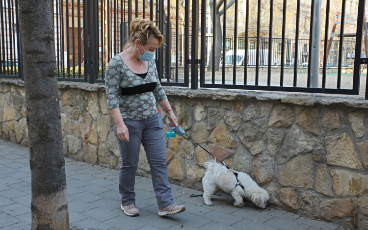 Este 8 után is szabad lesz kutyát sétáltatni