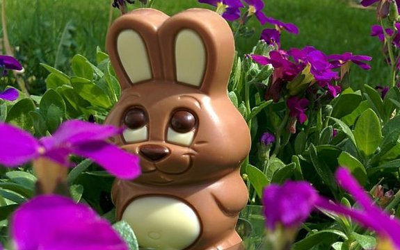 Húsvéti termékvizsgálat: a csokinyuszik felől idén is nyugodtak lehetünk