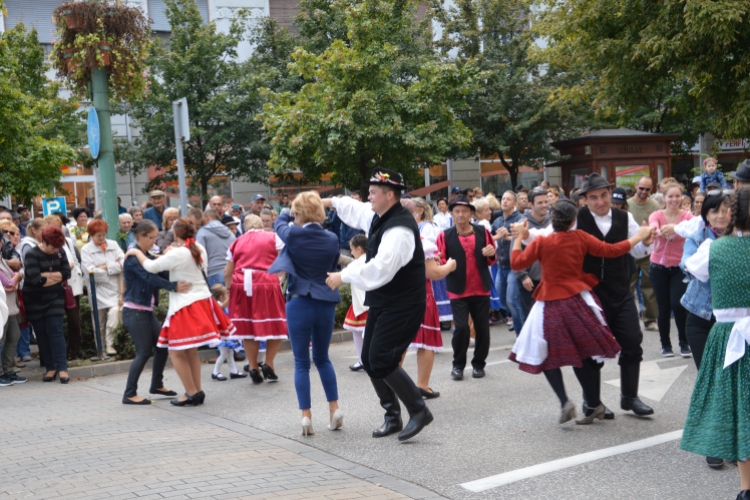 Szüreti felvonulás 2017.