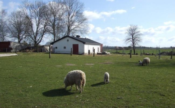 Meghosszabbította az agrártárca a tanyafejlesztési pályázatot