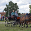 Fogathajtó versenyt rendeztek a Vasas Pályán