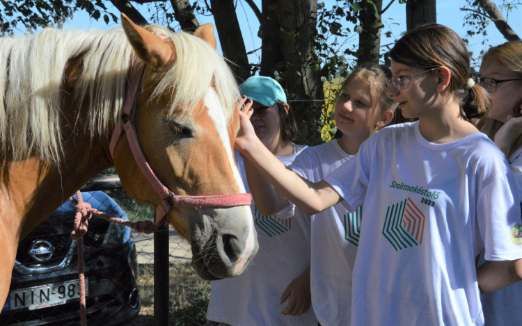 Szakmakóstoló tábort rendezett a Mezgé