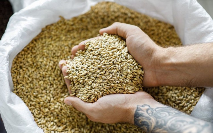 Jönnek az új vidékfejlesztési pályázatok