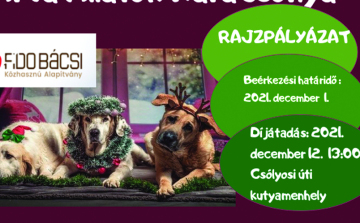 Árva Állatok Karácsonya 