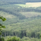 A tatai Öreg-tó környékén bicikliztek és túráztak a Talpasok