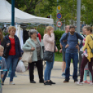 Káprázatos virágözön ékesítette Kiskunfélegyháza főterét