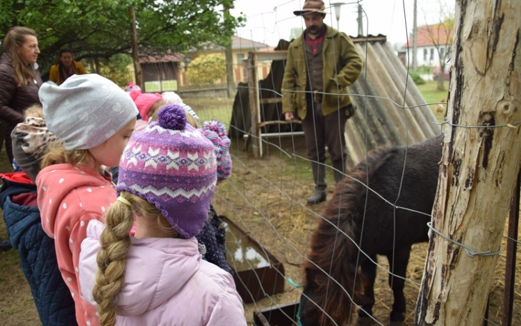 Kisállat ökoparkot adtak át Petőfiszálláson