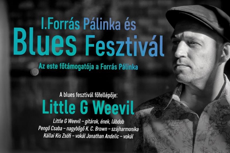 I. Forrás Pálinka és Blues Fesztivál