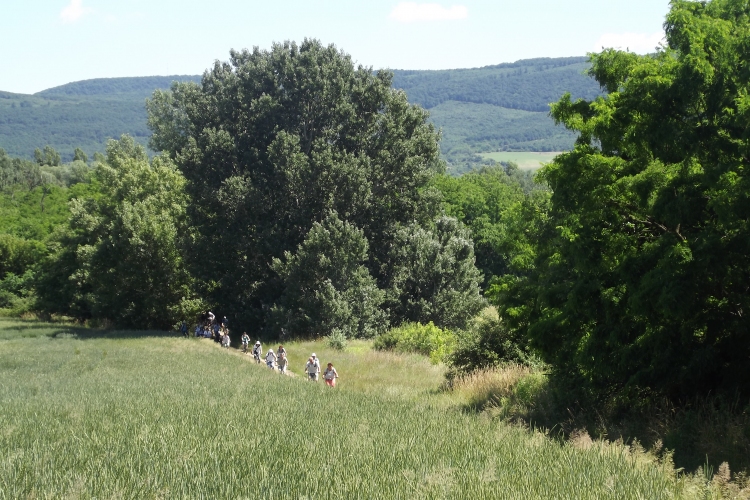 A tatai Öreg-tó környékén bicikliztek és túráztak a Talpasok