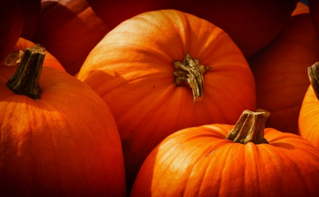 Évente 30-35 ezer tonna sütőtök terem az országban