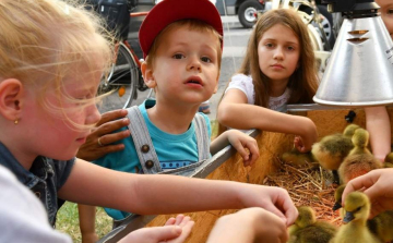 Új értékek a vármegyei értéktárban