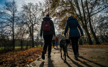 Változékony, enyhe idővel indul az új év
