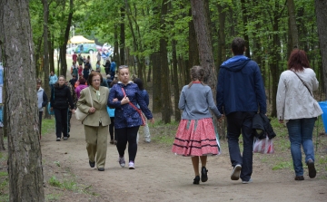 Sajnálhatja, aki nem látogatott ki a Parkerdőbe május 1-jén