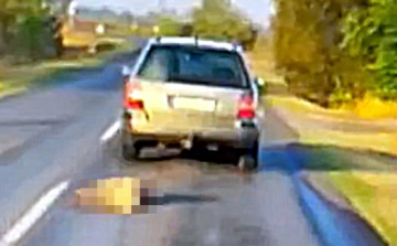 Elfogták a Tiszaalpár és Kiskunfélegyháza között kutyát kínzó férfit