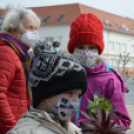 Tavaszi Virágvásárt rendeztek Kiskunfélegyházán