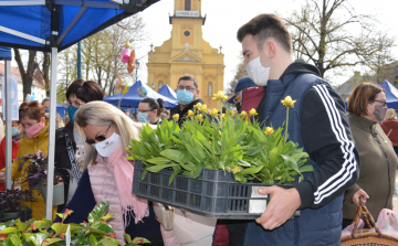 Színpompás virágkavalkád fogadta a városközpontba látogatókat