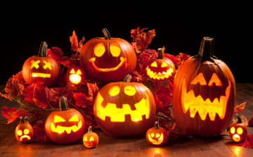 A halloweeni és a sütőtök közti különbségre hívja fel a figyelmet a NAK