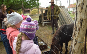 Kisállat ökoparkot adtak át Petőfiszálláson