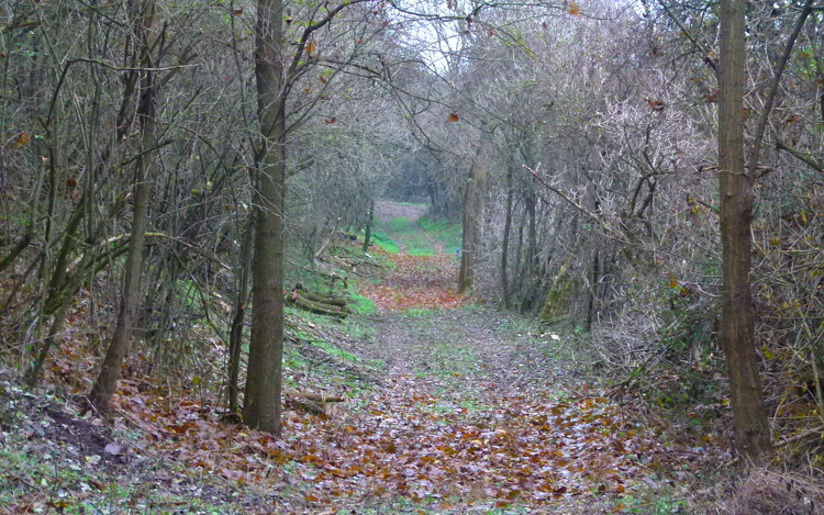 Értékes löszvölgyek élőhely-rehabilitációja Érsekhalma térségében
