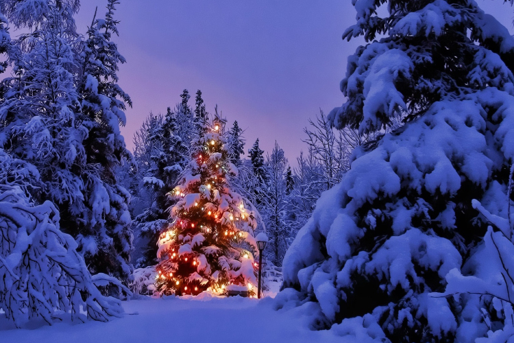 Öltöztessük együtt ünnepi díszbe városunkat!