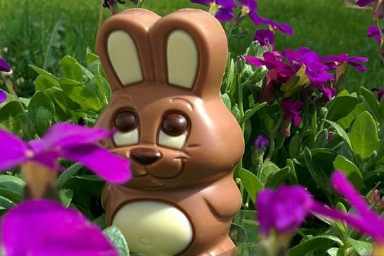 Húsvéti termékvizsgálat: a csokinyuszik felől idén is nyugodtak lehetünk