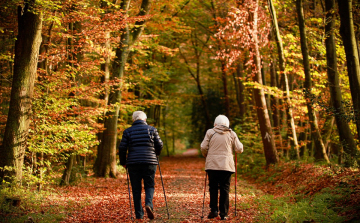 A mozgás gyógyszer