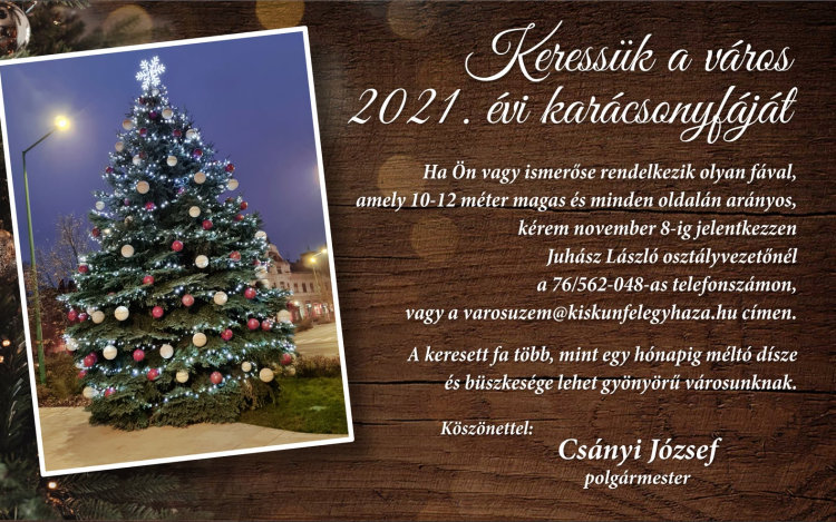Keressük a város 2021. évi karácsonyfáját