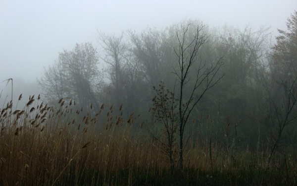 Szomorú idő lesz, néhol havazni is fog!