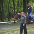 Majális a parkerdőben