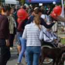 Negyvenegy csapat nevezett a libafőzőversenyre