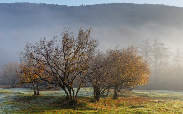 Száraz és napos - éppen ilyen késő őszre vágytunk
