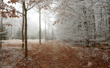 Borús, csapadékos idő várható az év utolsó napjaiban