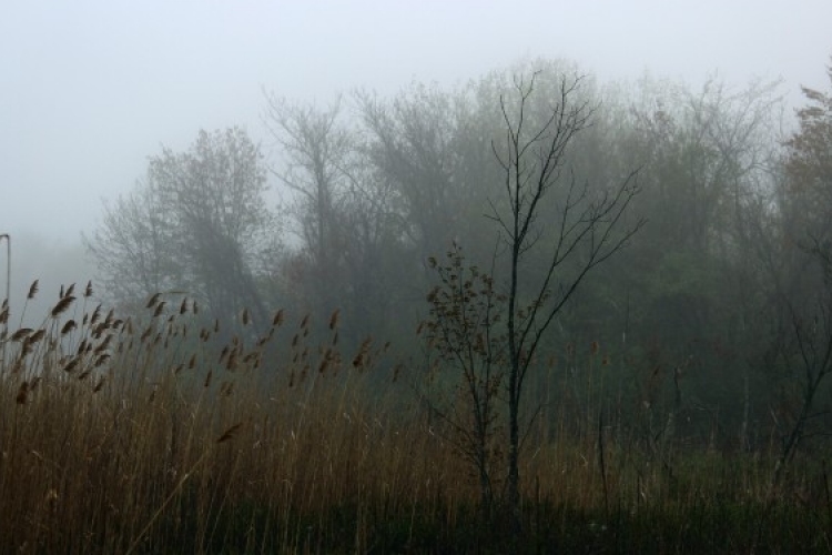 Szomorú idő lesz, néhol havazni is fog!