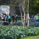 Pályaorientációs napot tartottak a Mezgében