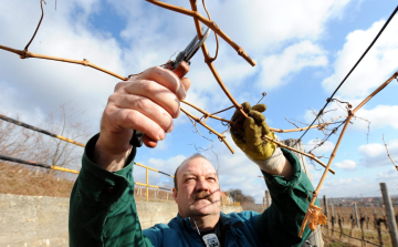Kíméletes hidegfront, már télnek se érezzük