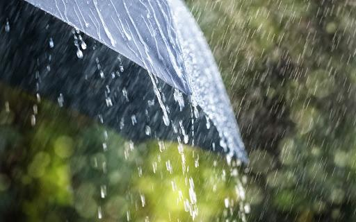 Meteorológiai szolgálat: a kilencedik legcsapadékosabb szeptember volt az idei 1901 óta