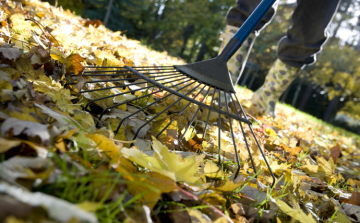 Ezek a legfontosabb őszi teendők a kiskertben