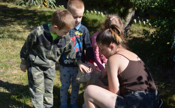 Kíváncsi gyermekszemek a tangazdaságban