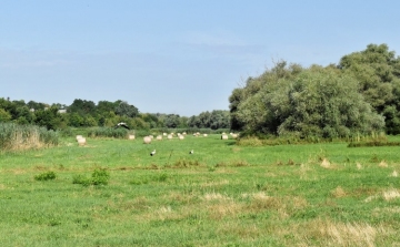 A látogatási szabályok betartásának fontosságára hívja fel a figyelmet a nemzetipark-igazgatóság