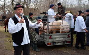 Évről-évre egyre sikeresebb a Hagyományőrző Falusi Disznóvágás Petőfiszálláson