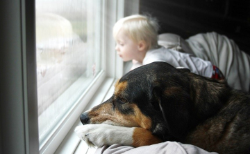 Humánmeteo: megvisel a csípős hideg