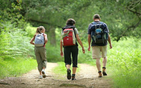 Tavasszal is egyedülálló élményt nyújtanak a tanösvények