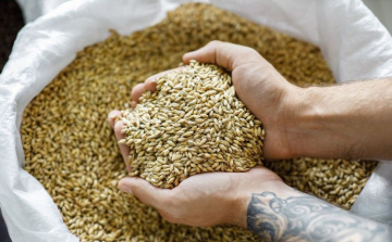 Jönnek az új vidékfejlesztési pályázatok