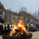 Parádés farsangi felvonulással és boszorkányégetéssel űzték el a telet Félegyházán