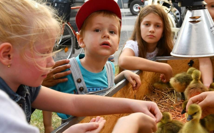 Új értékek a vármegyei értéktárban