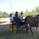 Szakmakóstoló tábort rendezett a Mezgé