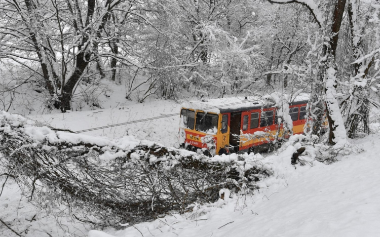 Megérkezett a sarkvidéki hideg, aki teheti, maradjon otthon!